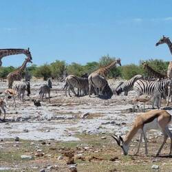 Typisches Bild in der Trockenzeit