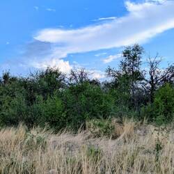 Reichlich Nahrung überall vorhanden