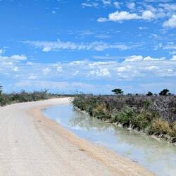 Jupp, es hat wohl geregnet.