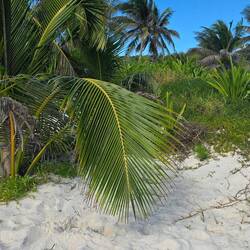 Diesen Platz haben wir uns am Strand ausgesucht