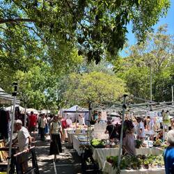 Glebe markets