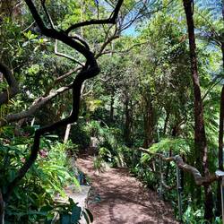 Wendy Whiteley's secret garden