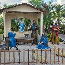 Weihnachtskrippe aufgebaut