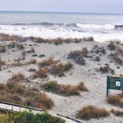 Ships Creek