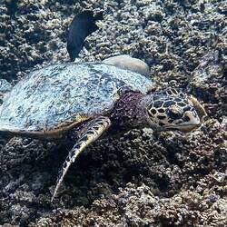 Hildi am Nachmittag 🤓