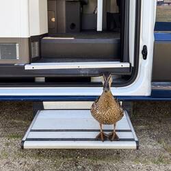 Der Chef vom Camping ... tierische Security 🙃