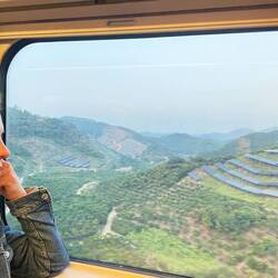 Man beachte die perfekte Fensterhöhe - beste Aussicht während Bahnfahrt!