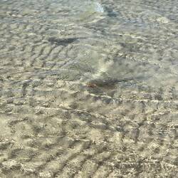 Spaziergang zu Strand bei Coral Bay