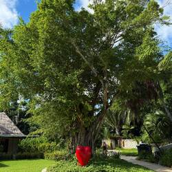 ...um beim Herzen an zu bandeln...