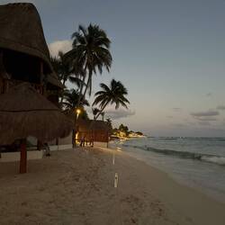 Hossa! Hossa! Fiesta, Fiesta Mexicana... 😁