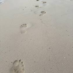 "D(M)eine Spuren im Sand. Die ich eben noch fand..."