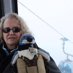 The Dude is loving the weather. Snowed for a few days, rain last night, slightly below freezing now.