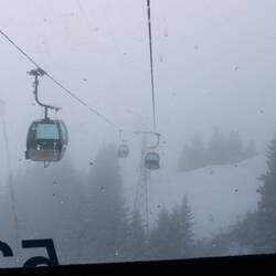 Taking a gondola up and back down, about a half hour ride each way.