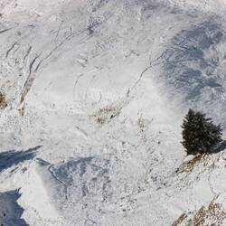 If you zoom waaaay in the black dot in the center is a deer.