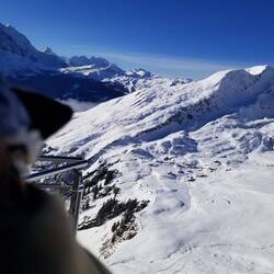 The Dude wants to slide down. It's a little ambitious for a Little Penguin ... Dude.