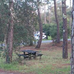 Schnuckelig im Pinienwald, aber für 60 Mann?