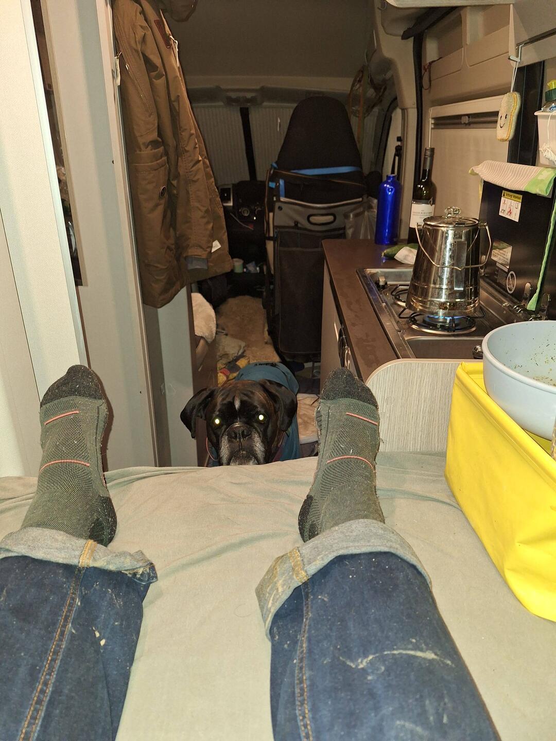 Keine Lust aufzustehen um Auto zu fahren