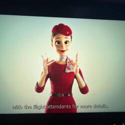 Sicherheitsvideo in Gebärdensprache