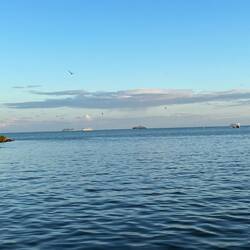 Die drei Kreuzfahrtschiffe liegen ziemlich weit draußen