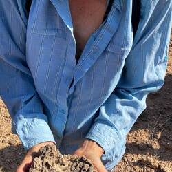 Versteinerte Korallen