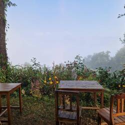 Morning mist