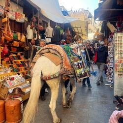 And voilà a donkey serving as an ambulent bar