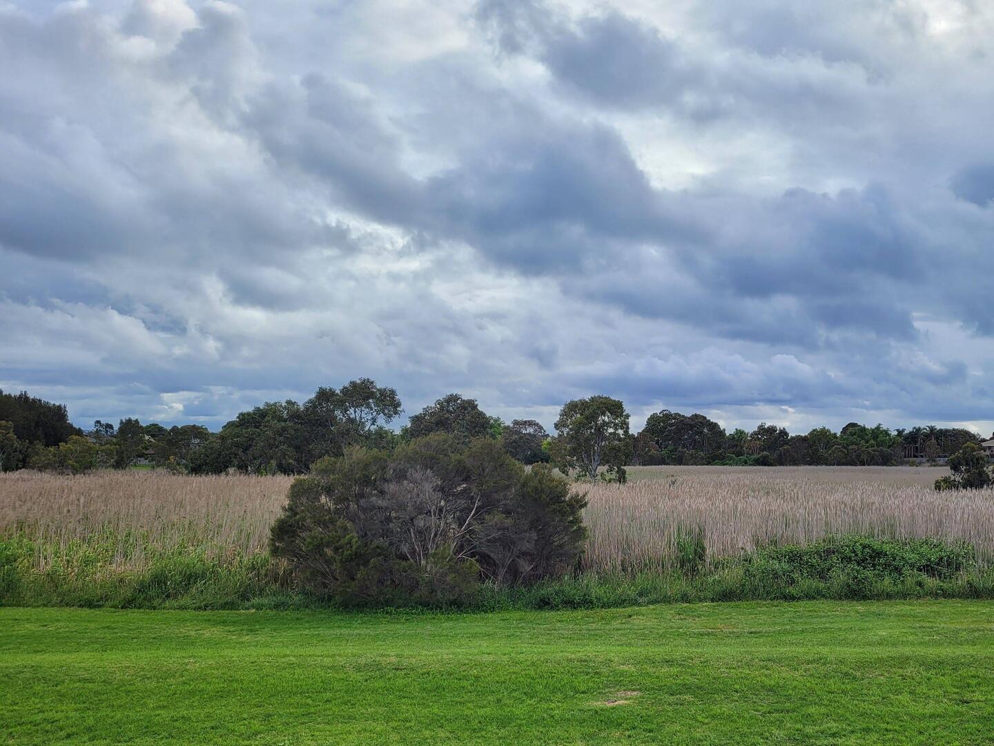No e letschte Spaziergang i de Wetlands