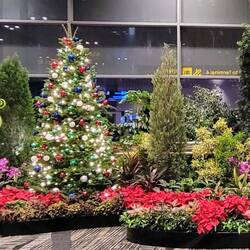 Singapore Changi Airport