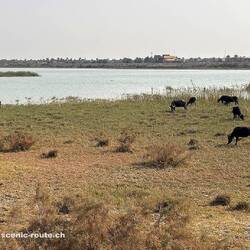 Zusammenfluss Euphrat/Tigris