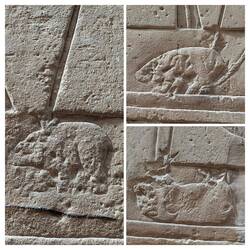 Die ersten in Stein gemeißelten Nilpferde☝🏼