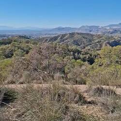 On a faim ! Picnic ?