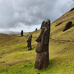 Südhang am Steinbruch/ Vulkan „Rano Raraku“