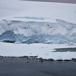 I spy 7 seals 有七只海豹，看看在哪里