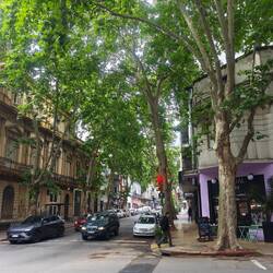 "unsere" Straße am Hotel - die Rio Negro