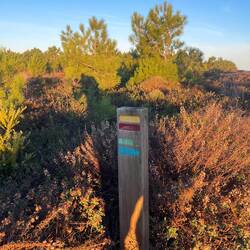 Blue/green signage for the Fisherman's Trail