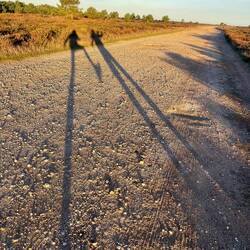 You know it's early when your legs are like Mr Men