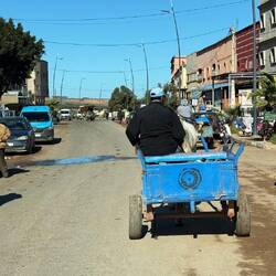 Eselkarren, Fußgänger, Mopeds - alles kreuz und quer, eine Fahrtrichtung ist nicht vorgegeben 😵‍💫