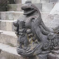 Löwe im Krokodilmaul unter einer Schlange / Lion in Crocodile mouth under a snake