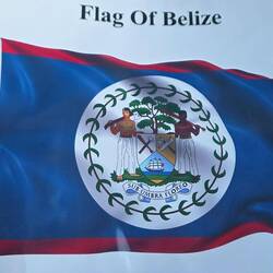 Die Fahne mit den 12 Farben