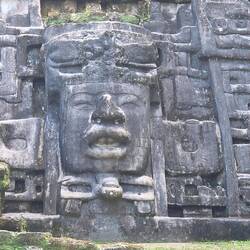 Hier sieht man, warum er so heißt.