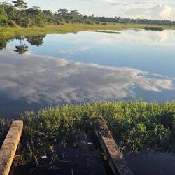 Rückfahrt im Bus über recht seltsame Brücken