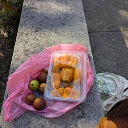 Frühstück: Frische Chinesische Datteln und Jackfruit