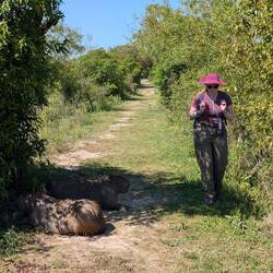 Vor Dana haben sie sich doch erschrocken