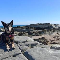 ma princesse à Māhia