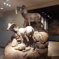 Da ein Valley von Bergen umschlossen ist, gibt es die auch.