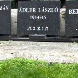 Karen's maiden name is Adler