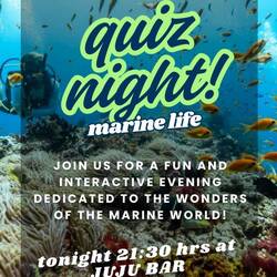 Auf zum abendlichen Quizz