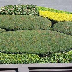 Ein winziger Teil der Außenanlage des Shoppingcenters