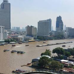 Ein riesiger Schutenverband mit vier parallelen Schleppern stromaufwärts unterwegs Richtung Norden