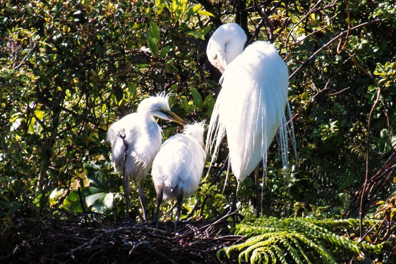 A couple of teenagers